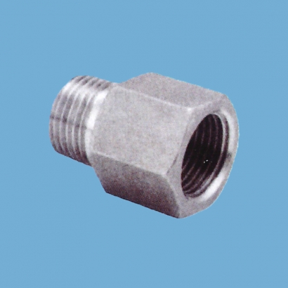 Elsa Brand Type 304 Stainless Steel Fitting Socket MF